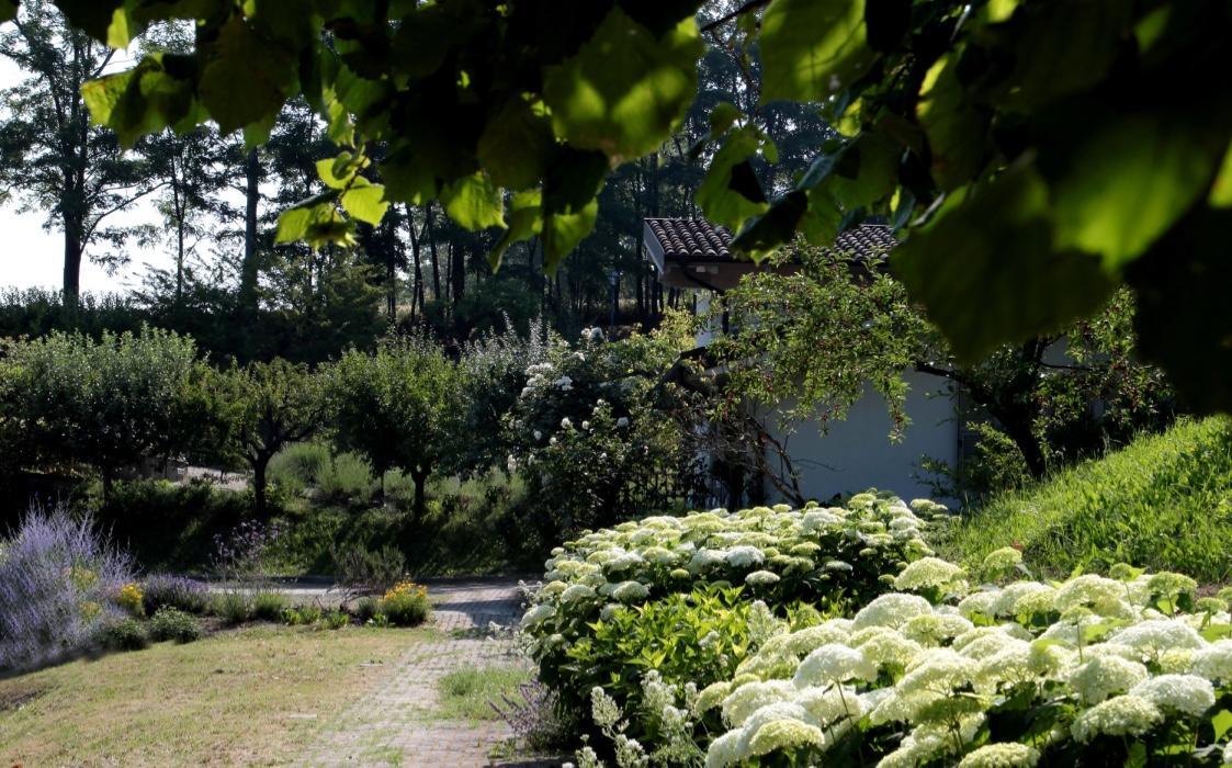 Il Borgo Delle Grazie Villa Ovada Buitenkant foto